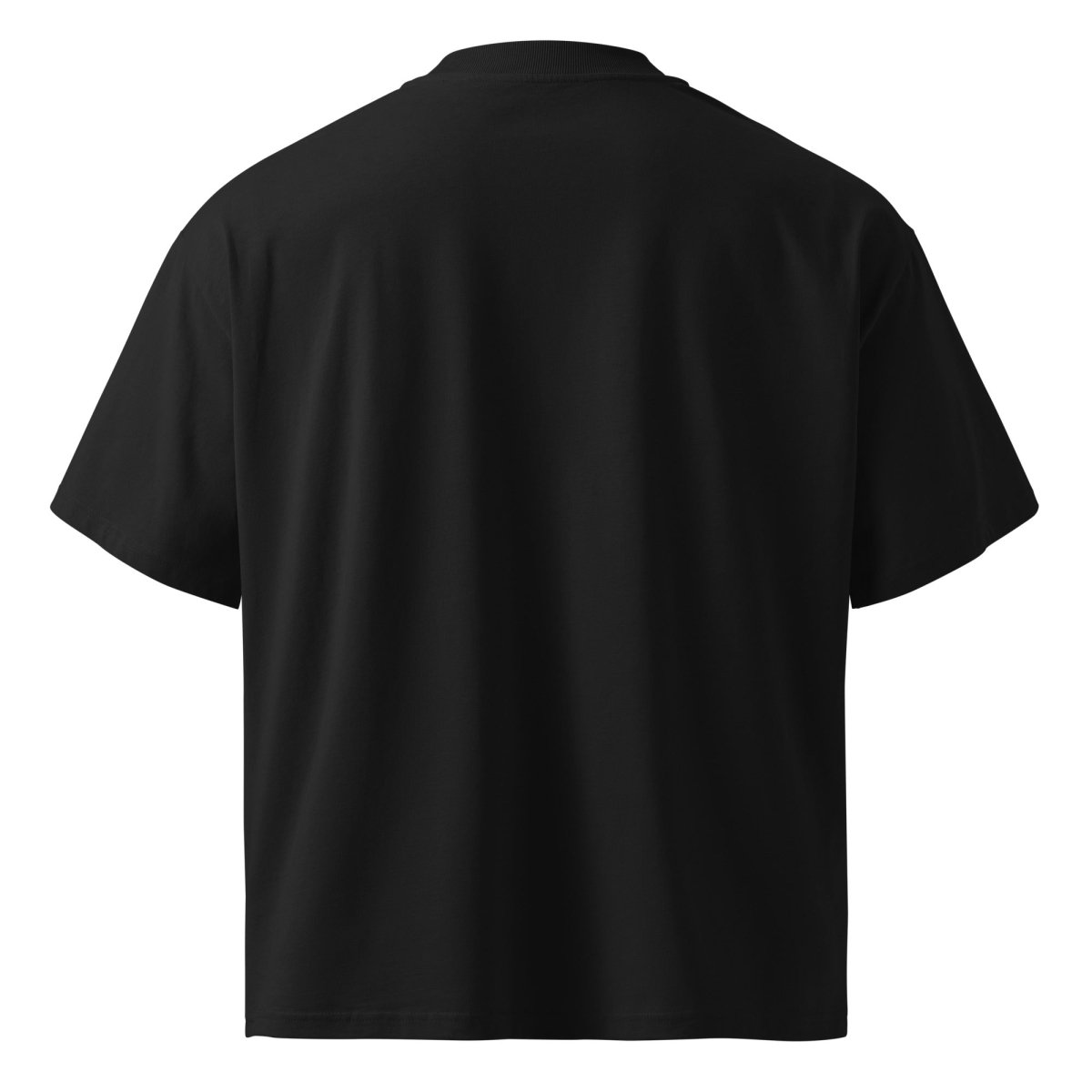 Plain black short sleeve streetwear T-shirt, rear view, on white background